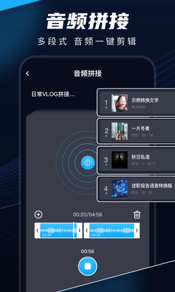 随声录appv2.0.4 安卓版 3