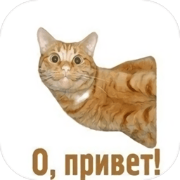 俄语助手软件 v1.1 安卓免费版