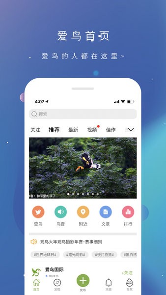 爱鸟国际v3.6.0 安卓版 1