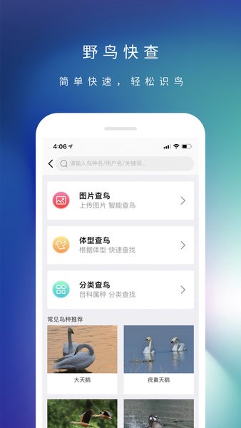 爱鸟App