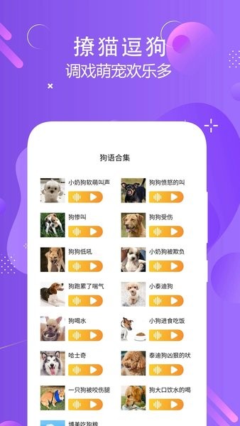猫狗语言翻译交流器免费版(1)