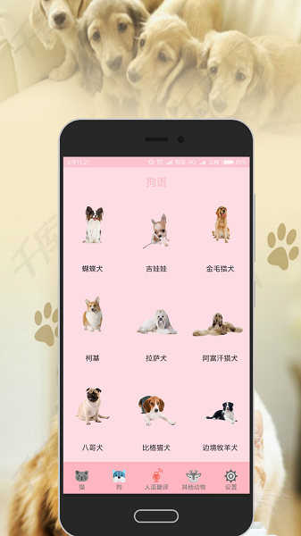 人猫狗交流器app(1)