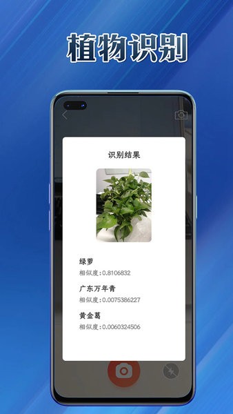 提效大师v1.0.0 安卓版 3