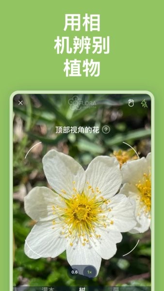 flora incognita植物识别appv3.7.24 安卓版 1