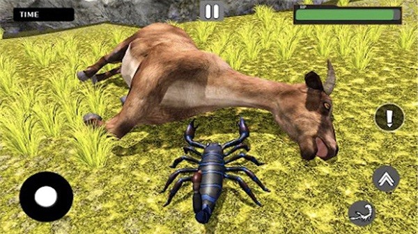 模拟蝎子游戏手机版(3)