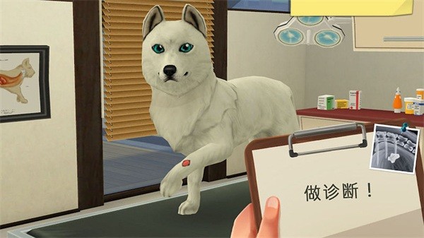 宠物救助模拟器游戏(4)