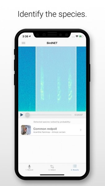 birdnet鸟叫声识别app(1)