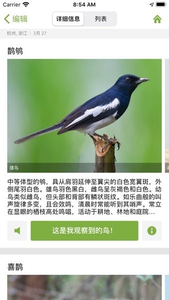 merlin鳥種鑒定軟件