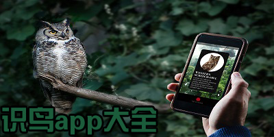 识鸟软件哪个好?拍照识鸟app下载-识鸟软件免费版下载