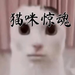 恐怖猫咪惊魂游戏(最终修改bug版) v0.15.10 安卓最新版