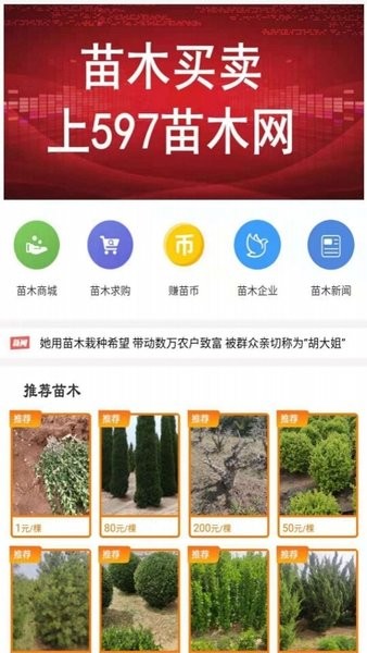 597苗木网官方下载