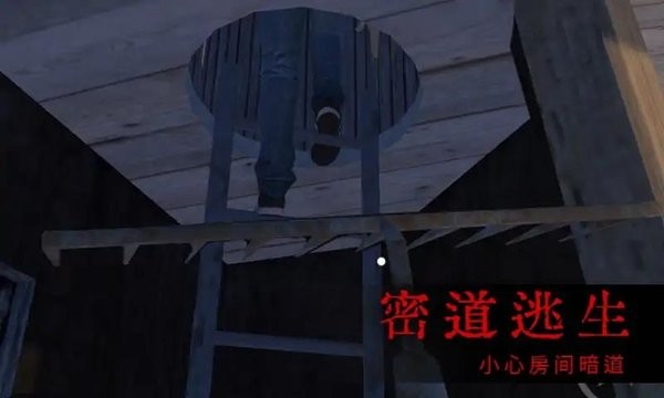 恐怖屋的爷爷奶奶游戏v0.2 安卓版 2