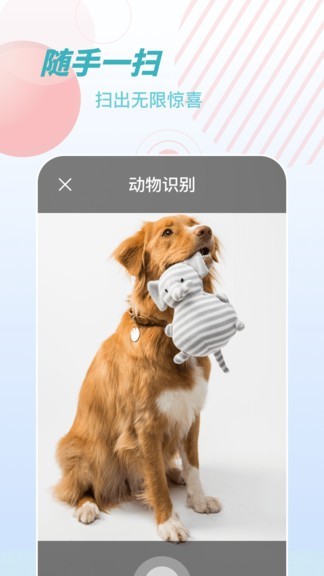 物品识别师appv1.0.10 安卓版 3