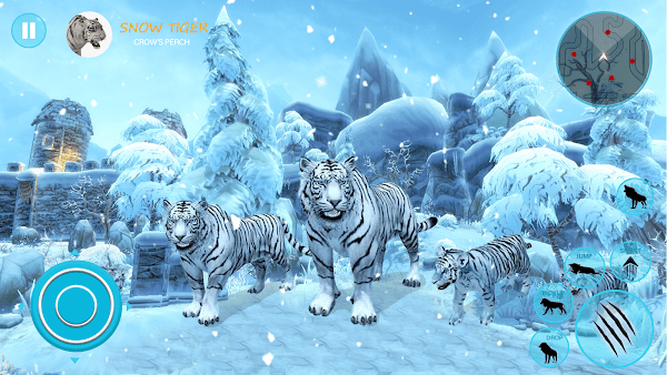 野生白虎家庭模拟游戏(Wild White Tiger Family Sim)(2)