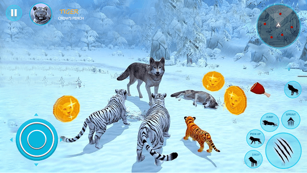 野生白虎家庭模拟游戏(Wild White Tiger Family Sim)(3)
