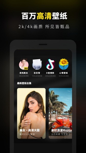 壁纸大全精选app(4)
