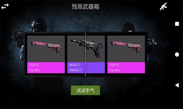 CSGO真实开箱模拟器最新版v3.3.3 安卓版 1