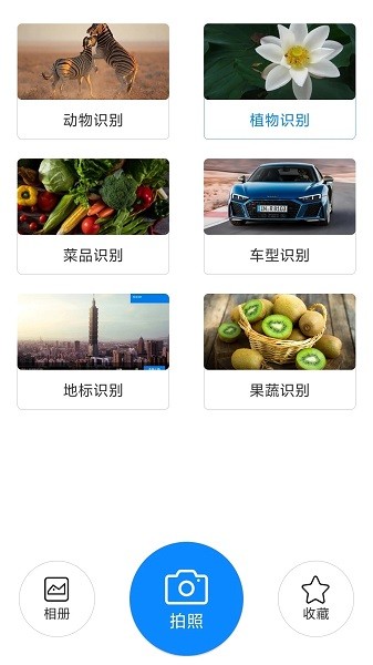 拍照识物全能王app最新版(4)