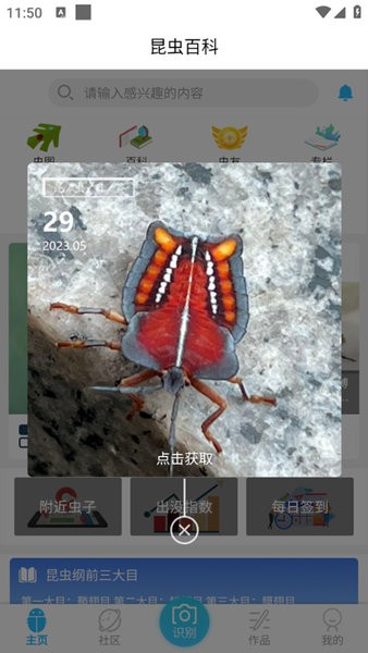 昆虫百科APP下载