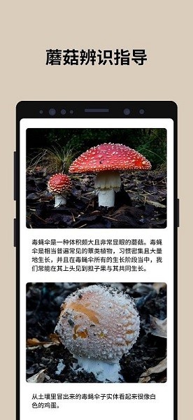 Picture MushroomApp下载