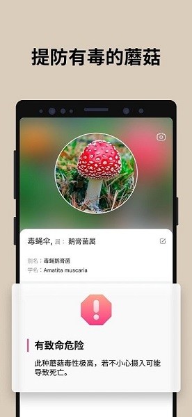 蘑菇识别扫一扫App(Picture Mushroom)v2.9.17 安卓中文版 2