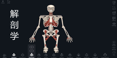 解剖图谱app哪个好?解剖学app推荐-解剖学软件下载安装