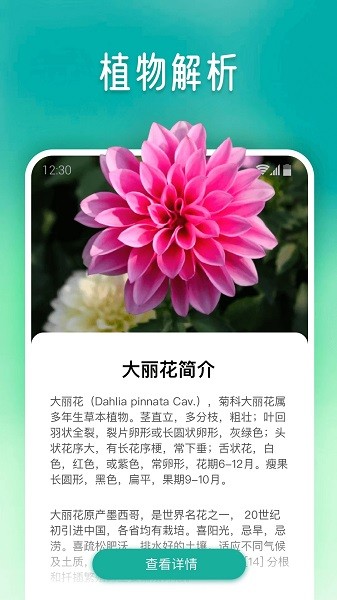 植物大师app(2)