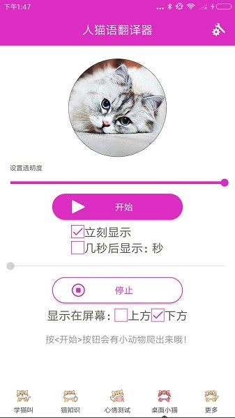 人猫语翻译器appv3.2 安卓版 2