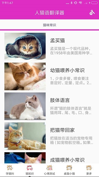 人猫语翻译器appv3.2 安卓版 1