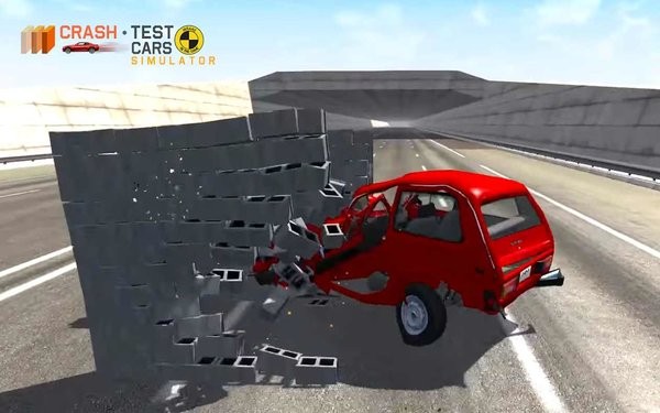 毁灭汽车模拟器手机版(Car Crash Test NIVA)(4)