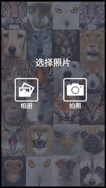 魔术美颜相机app(4)