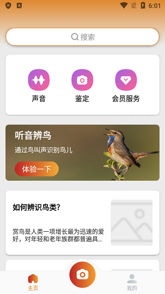 picture bird软件(拍照识鸟)(2)