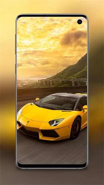 赛车高清壁纸app(CarzWallp)(4)