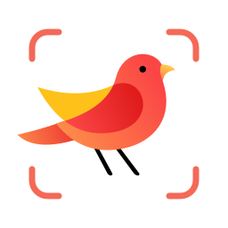 picture bird软件(拍照识鸟)
