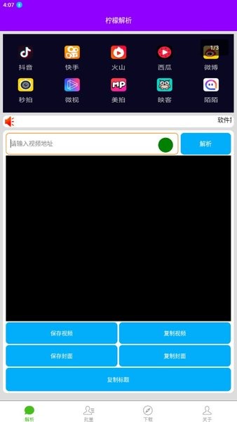 柠檬解析手机版app(1)