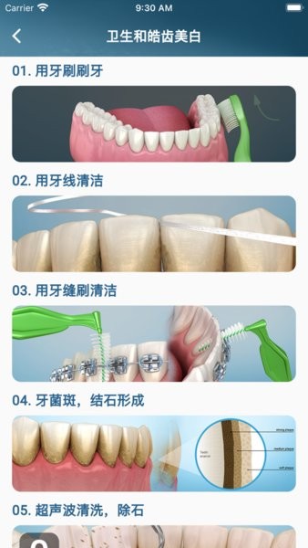 牙科3D插图Dental Illustrationsv2.0.86 安卓版 1