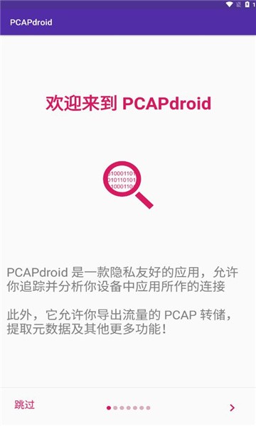 pcapdroid抓包软件(2)