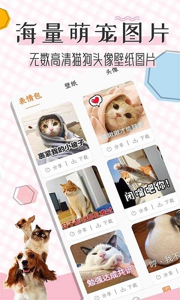 猫语翻译宝app(2)