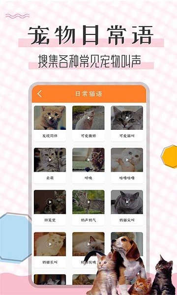 猫语翻译宝app(3)
