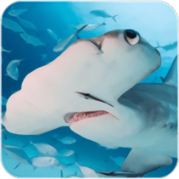 ͷģϷ(The Hammerhead Shark)