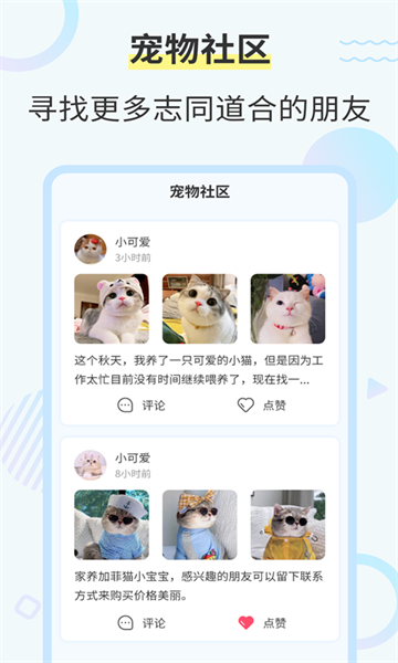 猫咪翻译工具appv2.6.6 安卓版 1