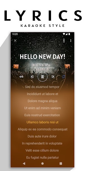 Flowie Music Player v24.1.9 ׿1