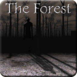 兰德里纳河的森林游戏(Slendrina: The Forest)