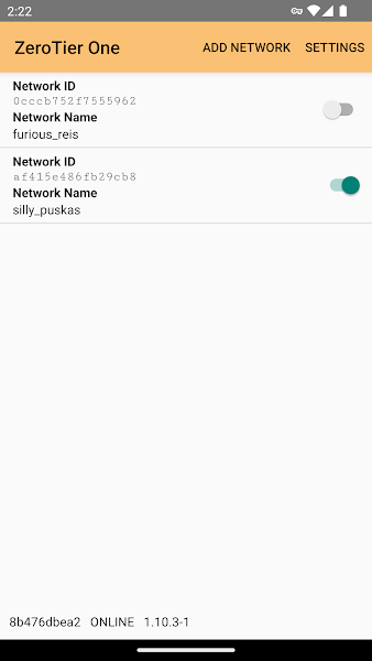 ZeroTier One手机端v1.12.0-3 官方最新版 1