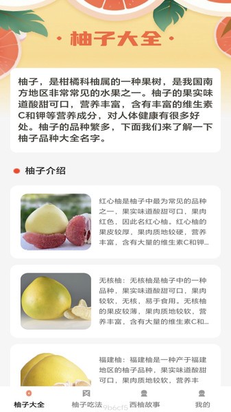 西柚多多百科app