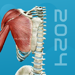 3D肌肉解剖app