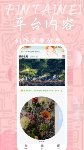 量岛图库app(4)