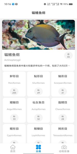 神秘海世界app