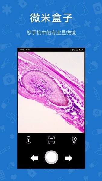 微米盒子显微镜micronboxv1.0.5 安卓版 4