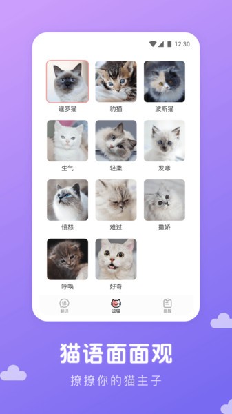 猫语翻译君appv1.0.9 安卓版 2